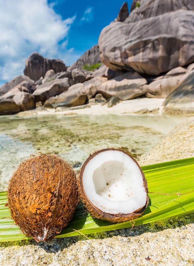 Essen auf den Seychellen Seychellen Kokosnuss Strand