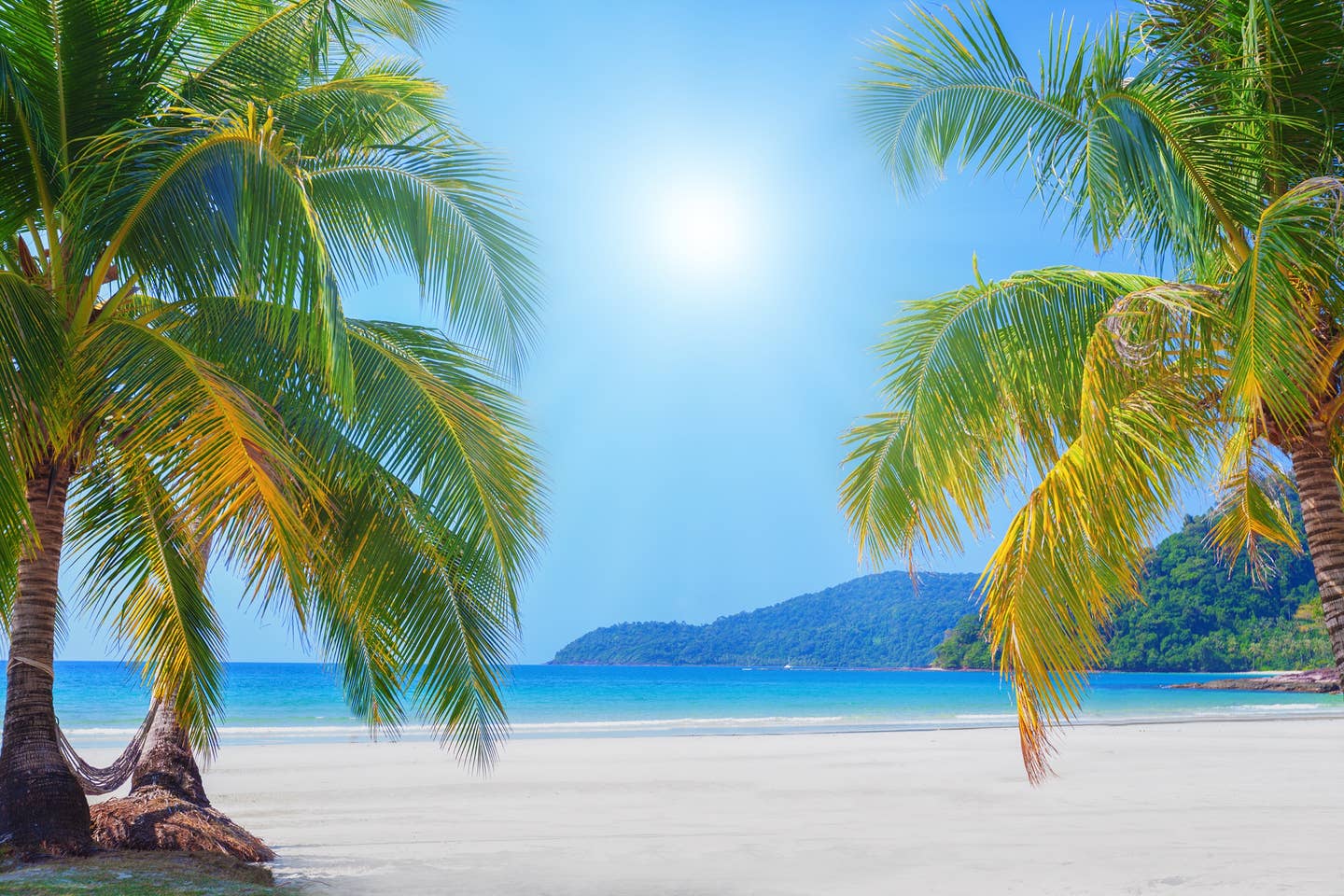 Rundreisen Cookinseln: Palmenstrand auf einer der Cookinseln Rundreisen Cookinseln: Palmenstrand auf einer der Cookinseln