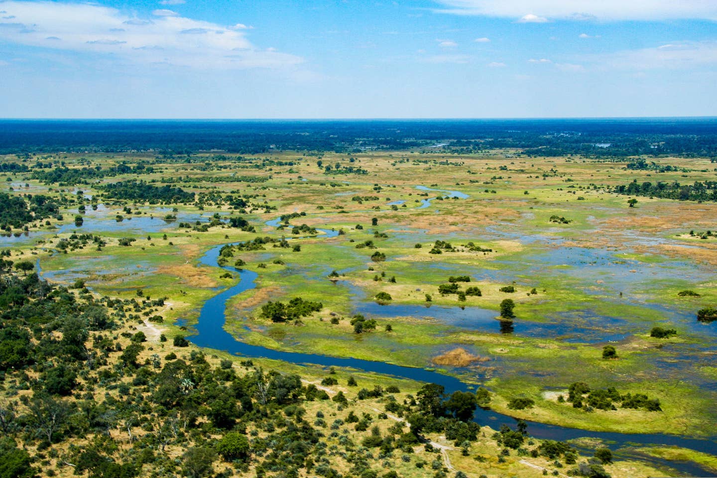 Rundreisen Botswana: Luftbild des Okavango-Flusses in Botswana