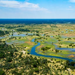 botswana-okavango-delta-t-648362800.jpg