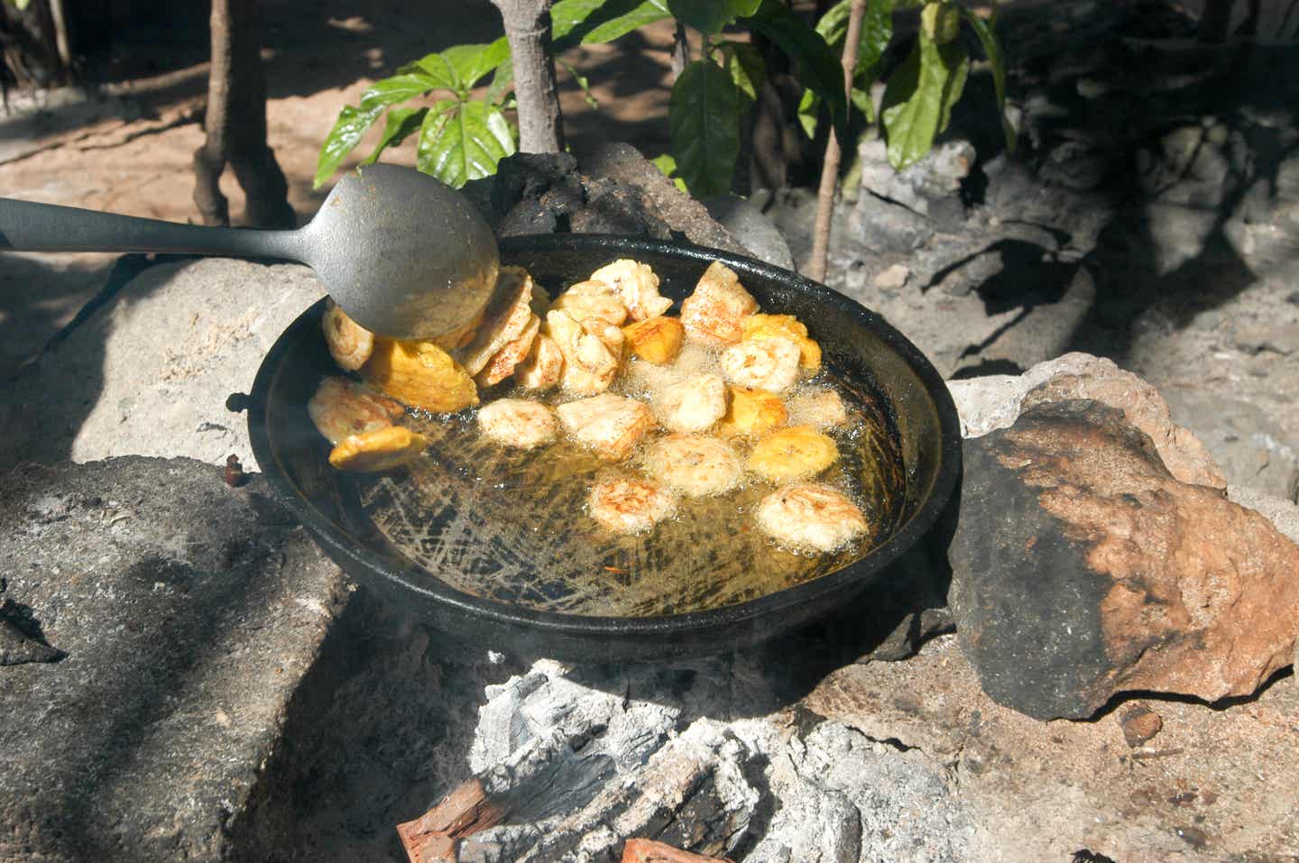 Essen Dominikanische Republik: Platones auf dem Grill