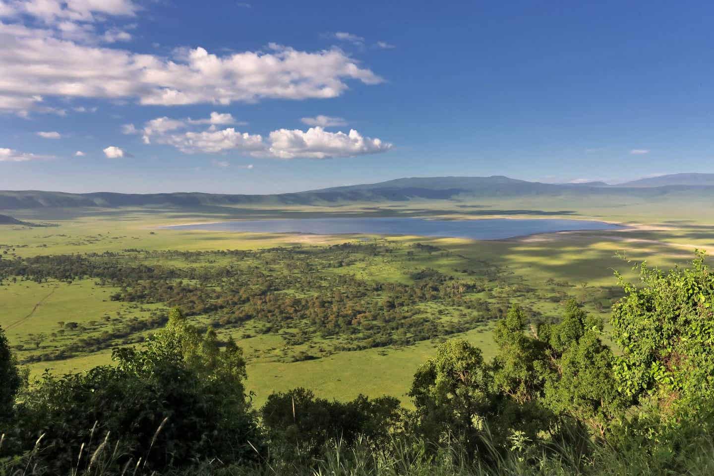 Tansania beste Reisezeit: Panoramablick auf den Ngorongoro Krater