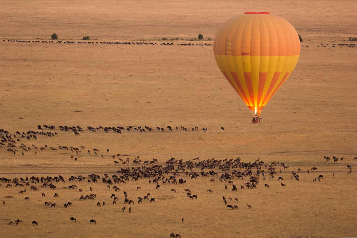 Kenia beste Reisezeit: Heißluftballon