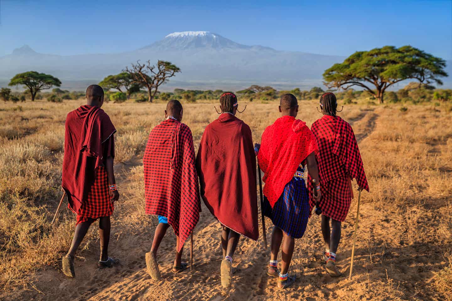Kenias Kultur: eine Gruppe Massai-Krieger kehrt zu ihrem Dorf zurück