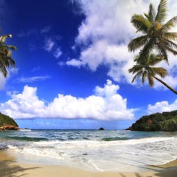 Dominica Hotels