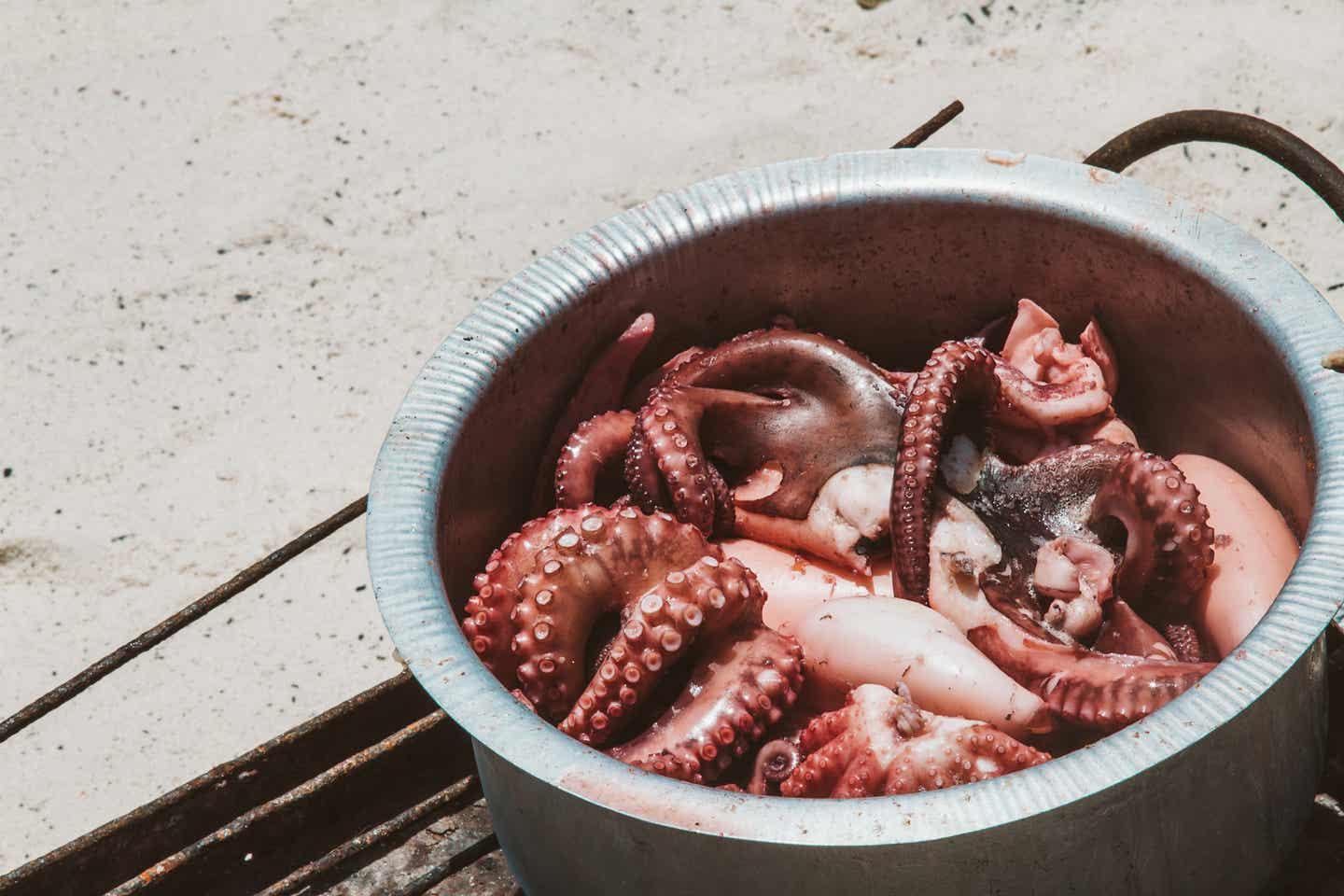 Sansibar Essen: Oktopus in einem Kochtopf am Strand