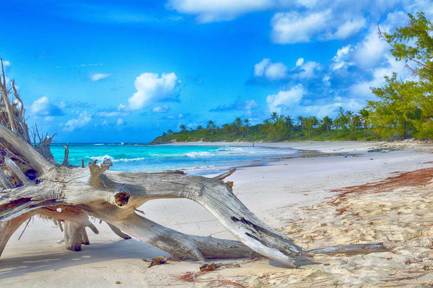 Karibik beste Reisezeit: Strand auf den Bahamas