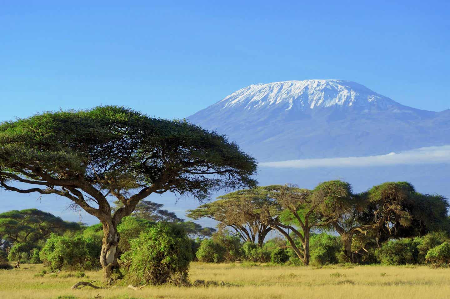 Kenia Sehenswürdigkeiten: Blick auf den Kilimanscharo