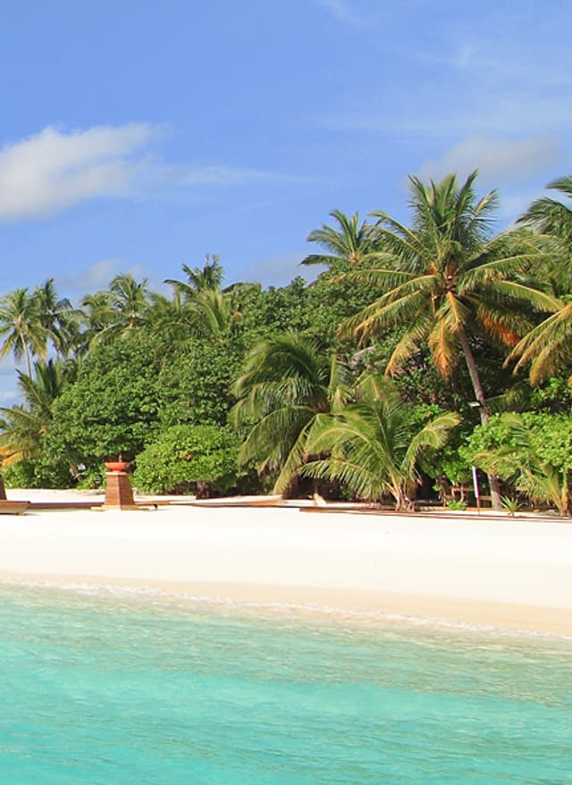 Frühbucherangebote Frühbucher - Blick auf einen Strand
