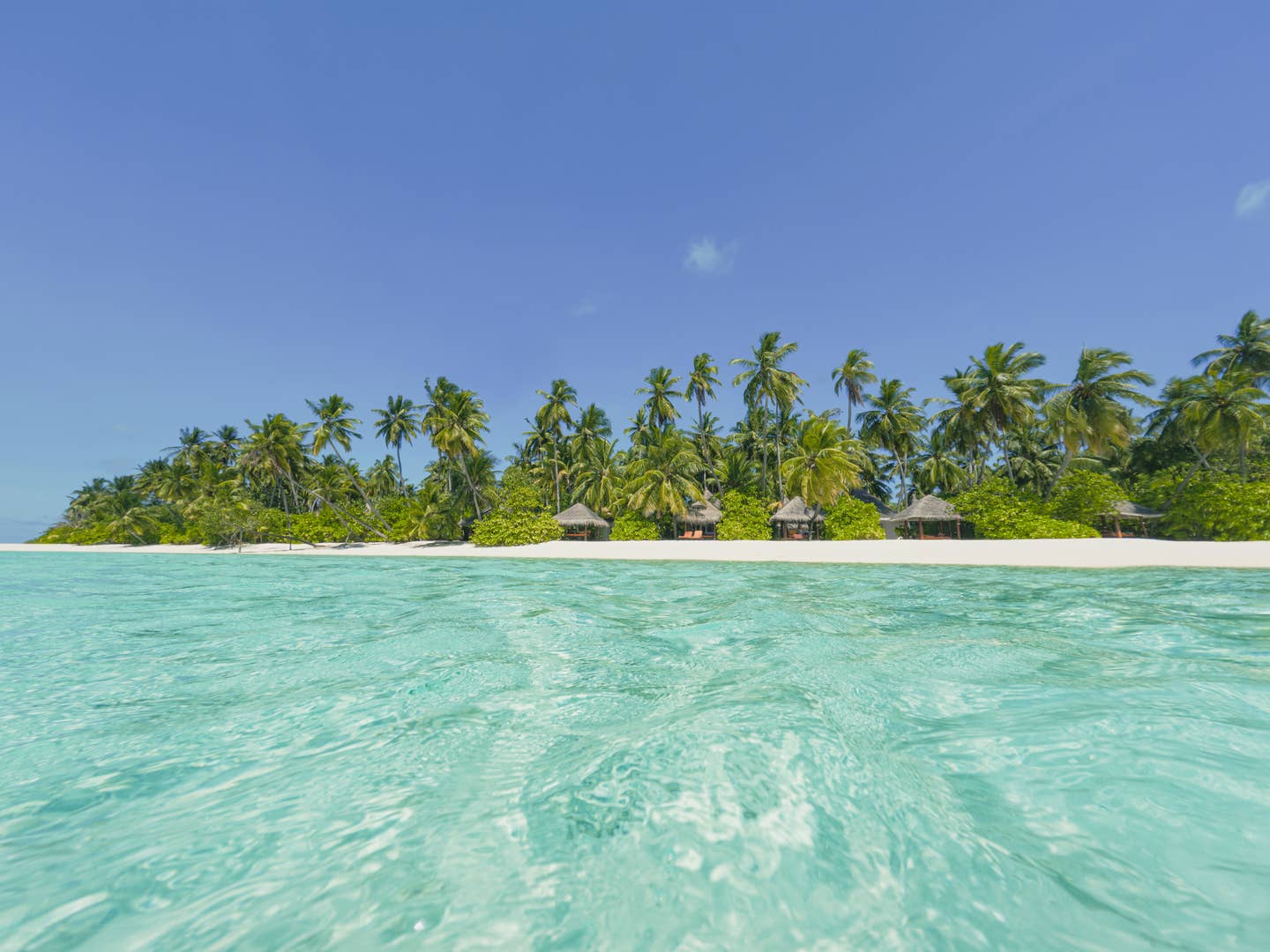 Frühbucher - Blick auf einen Strand