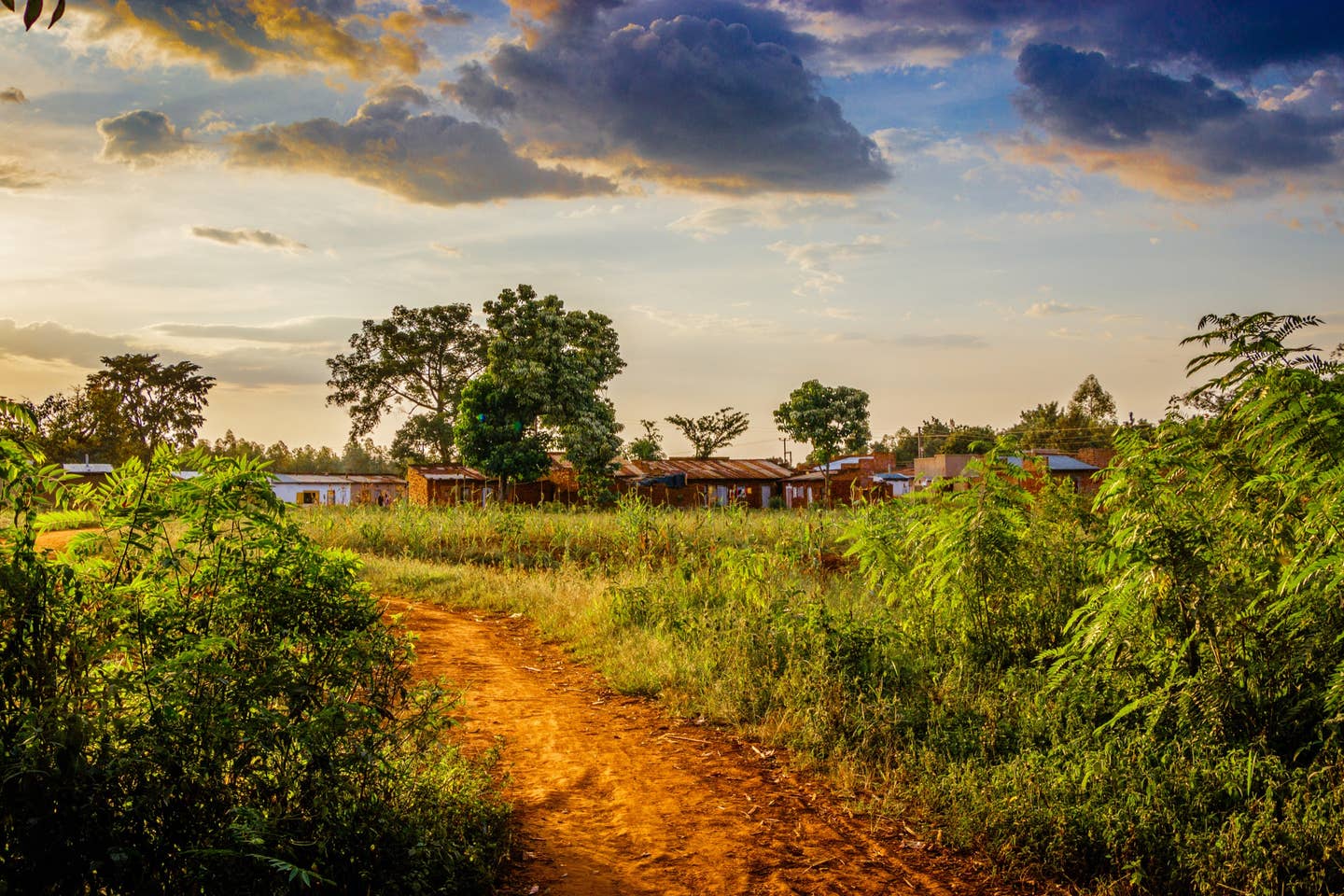 Rundreisen Uganda: der Mount Elgon Nationalpark in Uganda
