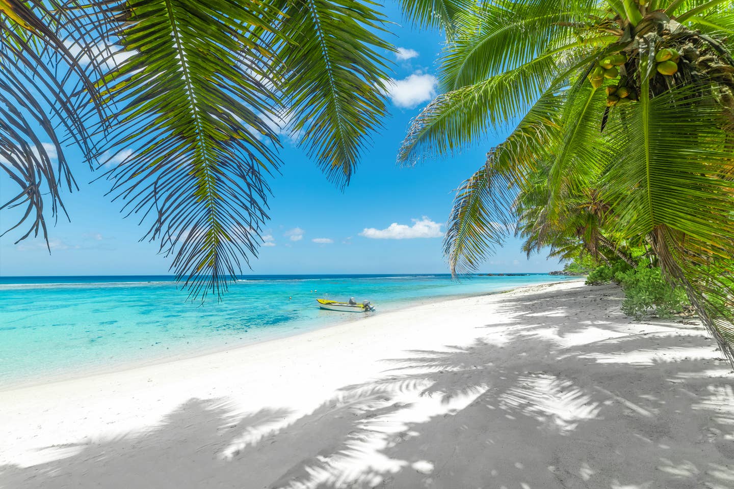 Last Minute Urlaub 2025 - Blick auf einen Strand mit Palmen Last Minute Urlaub 2025 - Blick auf einen Strand mit Palmen