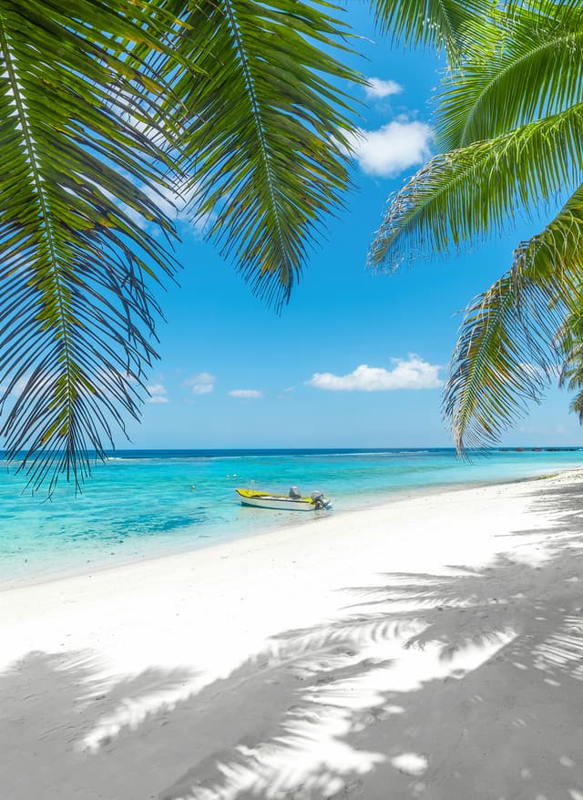 Last Minute Last Minute Urlaub 2025 - Blick auf einen Strand mit Palmen