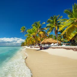 Maimon Hotels