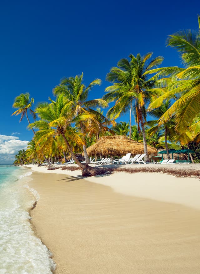Zu den Angeboten Dominikanische Republik Strand und Palmen
