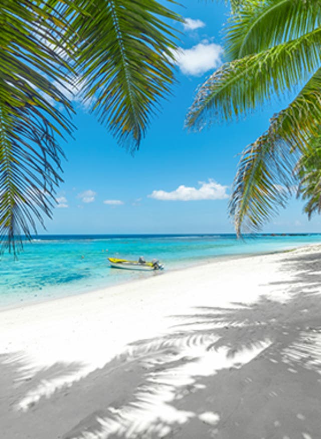 Zu den Angeboten Last-Minute-Urlaub: Sie wollen Meer?