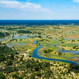 Okavango-Delta Hotels