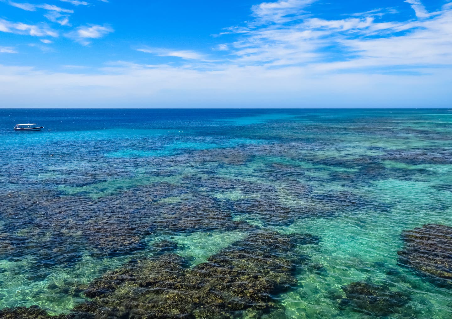 Karibik Roatan Meer Riff