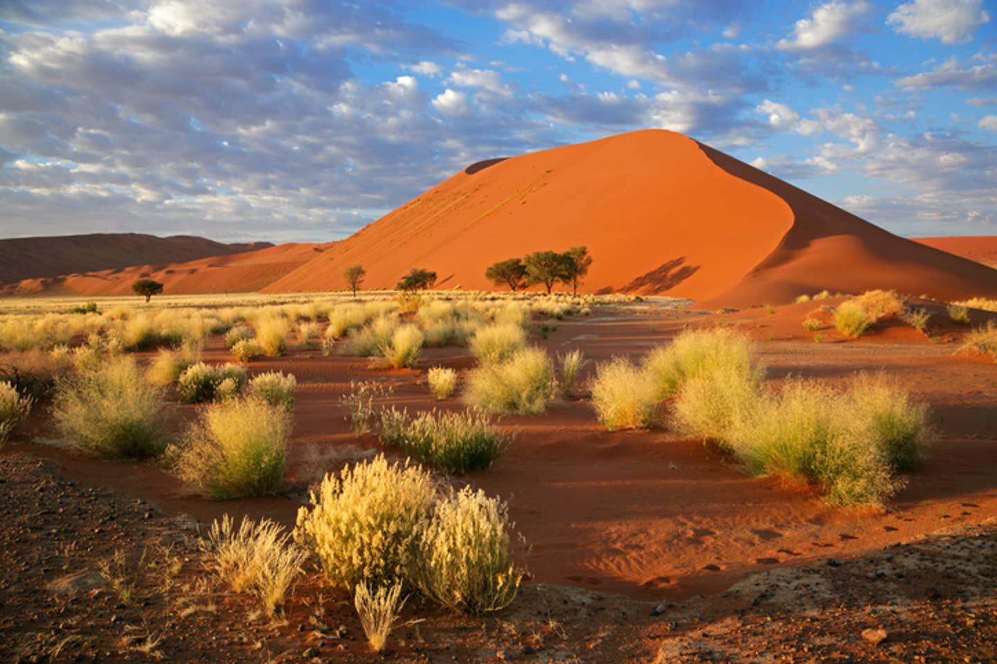 Rundreisen Windhoek: riesige rote Sanddüne in der Wüste Namibias Rundreisen Windhoek: riesige rote Sanddüne in der Wüste Namibias