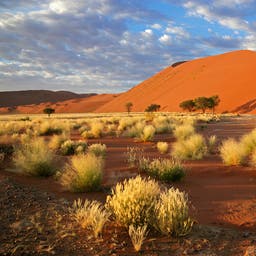 namibia-sandduenen-t-148225451.jpg