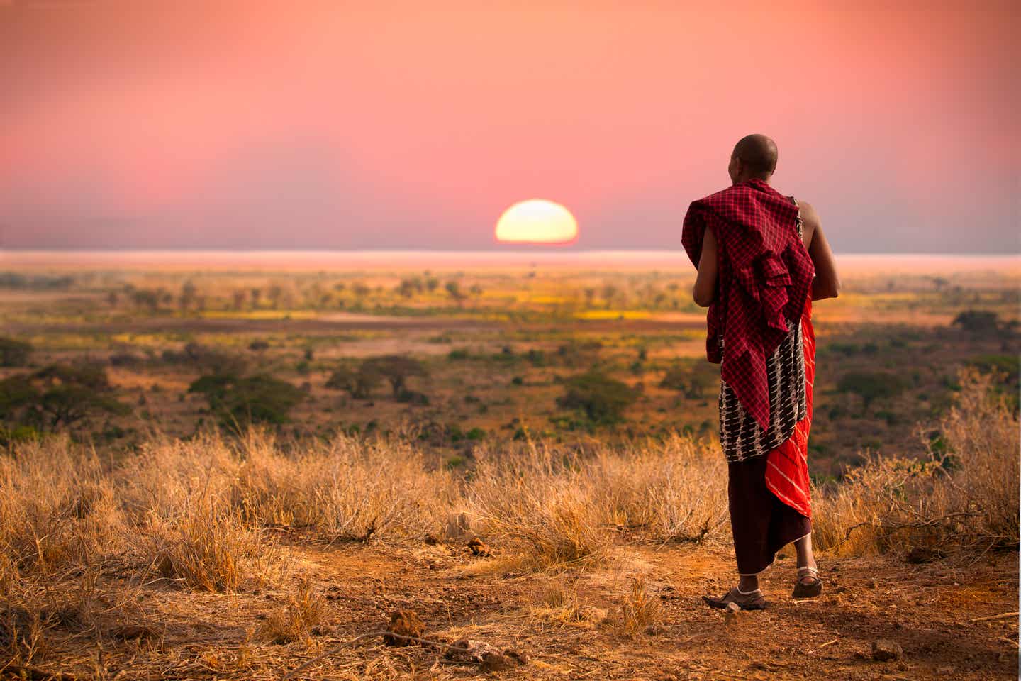 Serengeti Nationalpark: Massai Krieger betrachtet den Sonnenuntergang