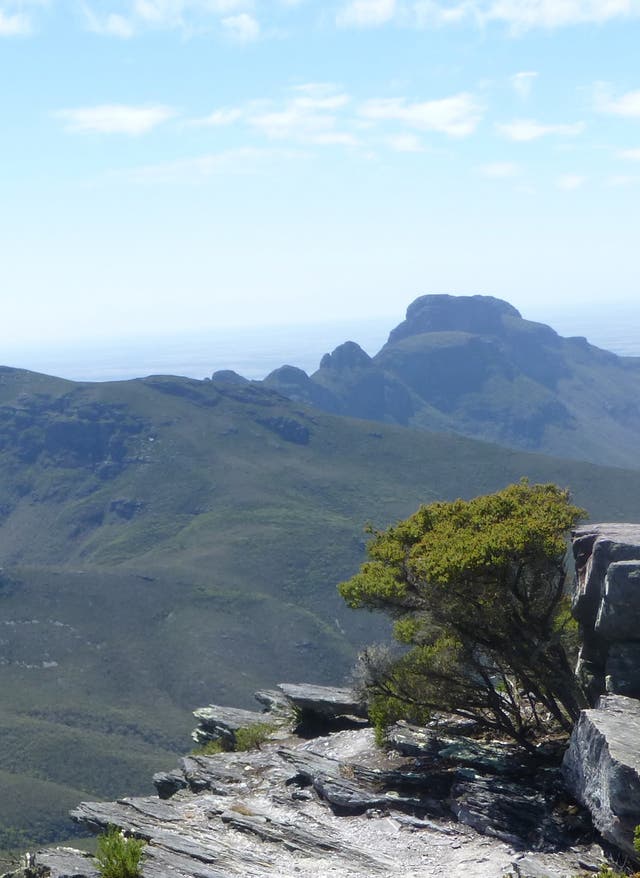 Sabbatical in Australien