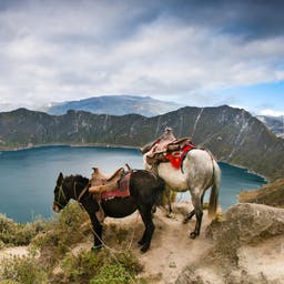 ecuador-krater-t-453570327.jpg