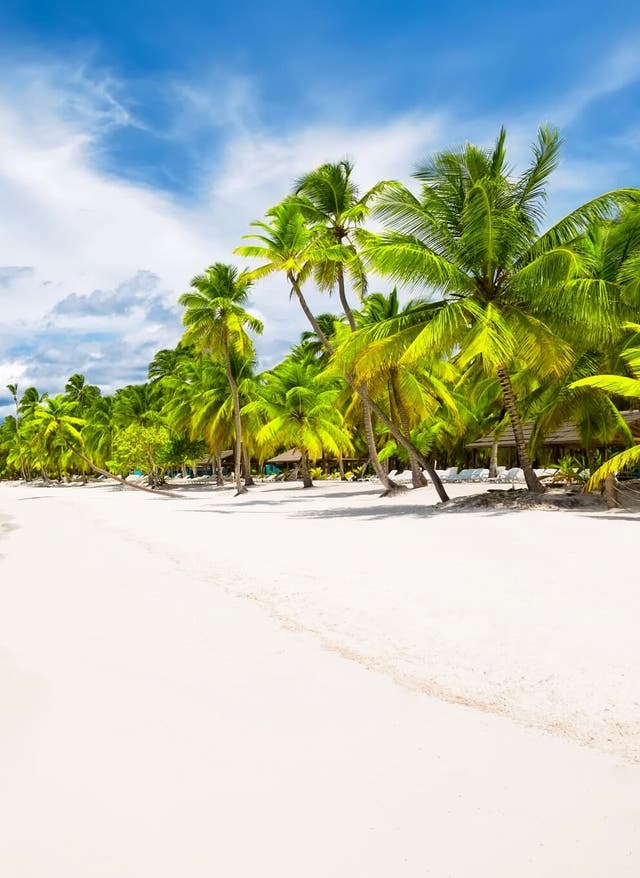 11 Stunden Direktflug Dominikanische Republik Steg am Strand