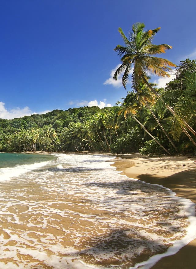 Mitarbeiter-Tipp Dominica