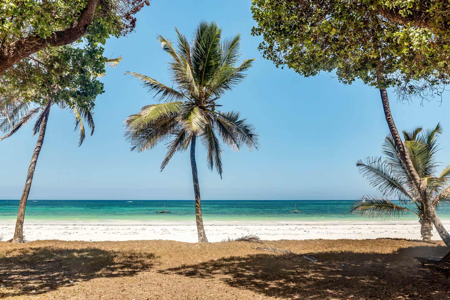 Kenia Strände: Palmen am Malindi Beach