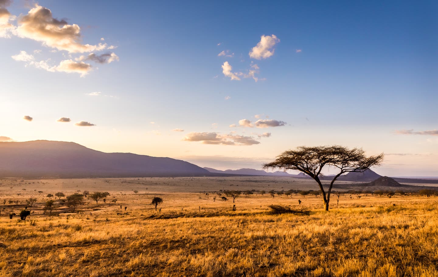 Afrika: beste Reisezeit für die Savanne