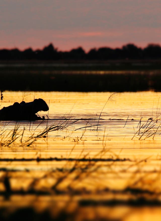 Chobe-Nationalpark