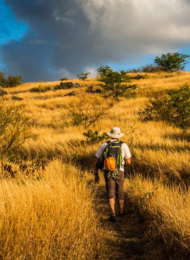 Aktivitäten auf La Réunion La Réunion Wandern