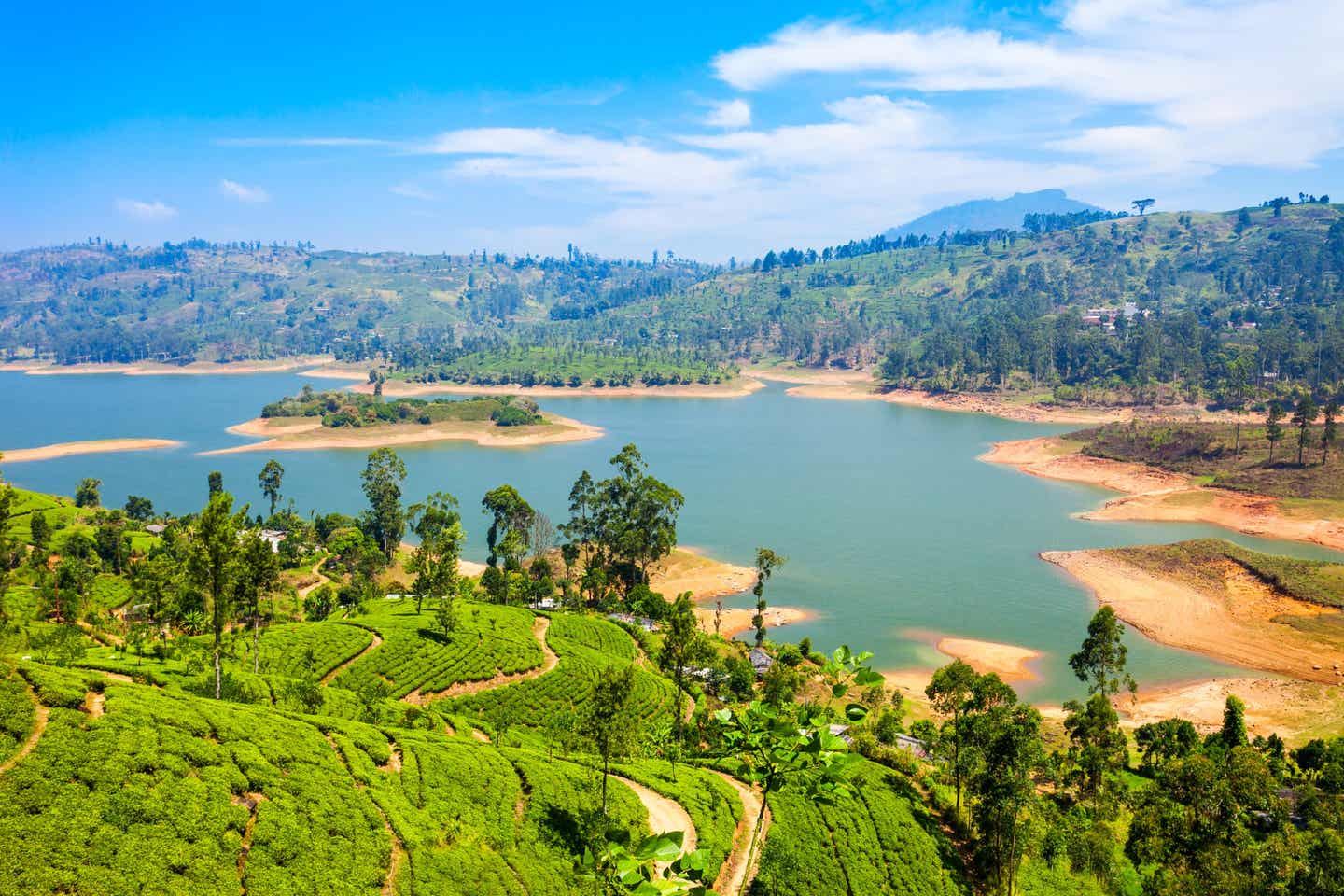 Sri Lanka Teeplantage