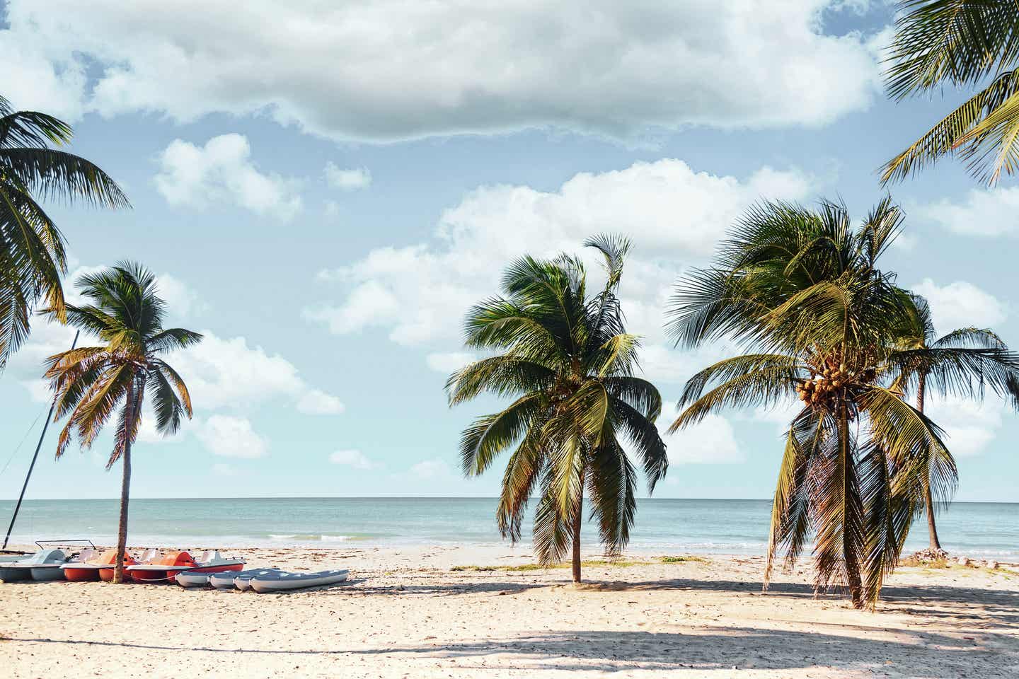 Strand mit Palmen im Varadero Urlaub