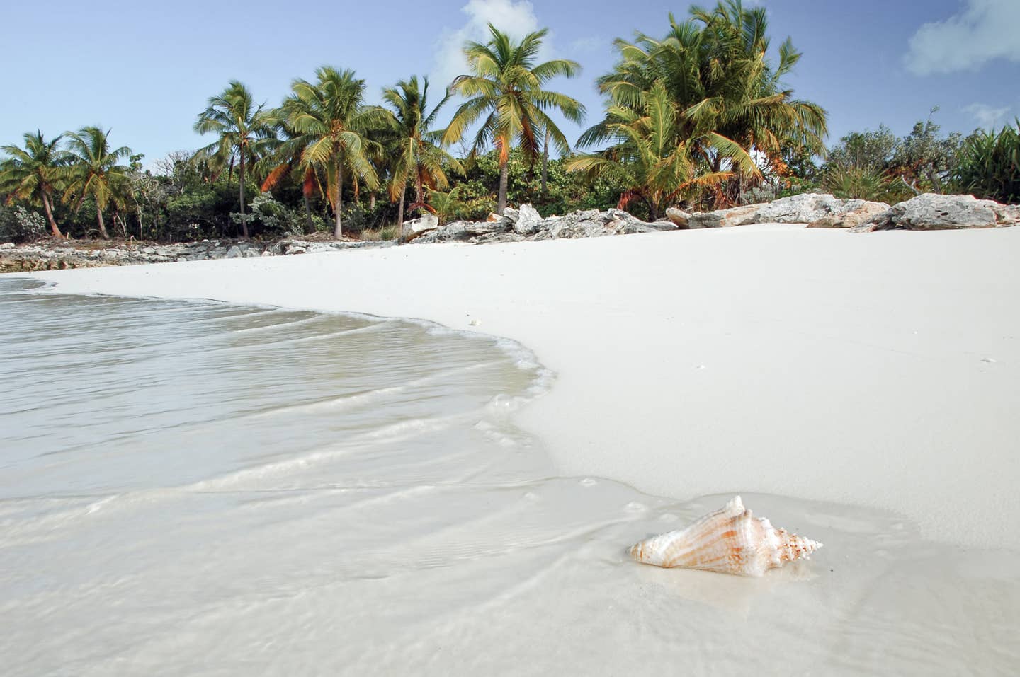 Strand mit Muschel auf Bonaire