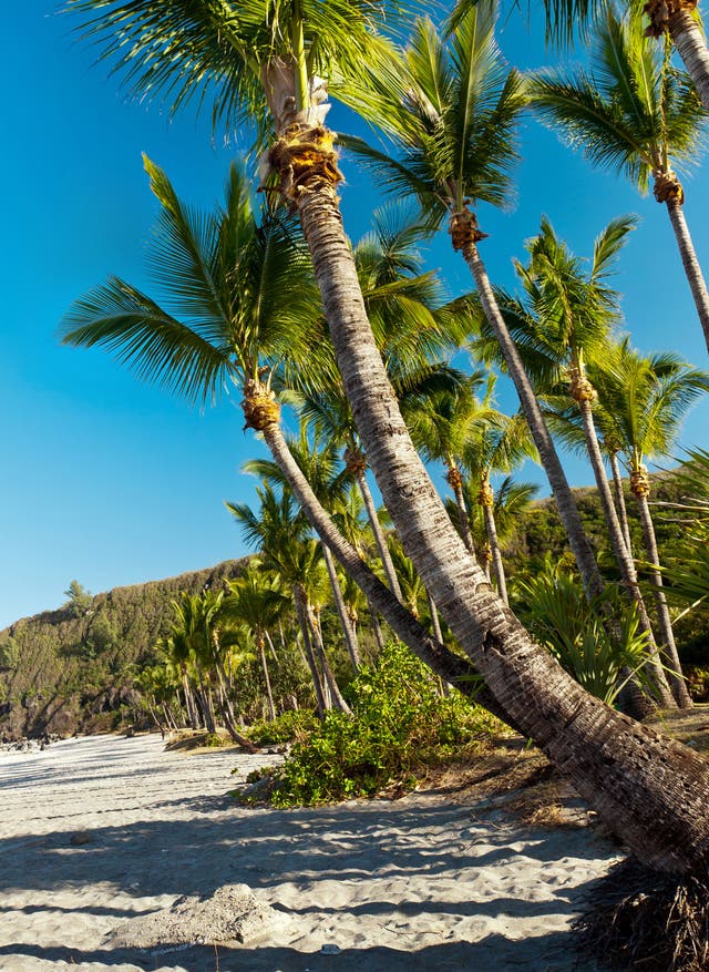 Top 10 La Réunion La Réunion Grand Anse Strand