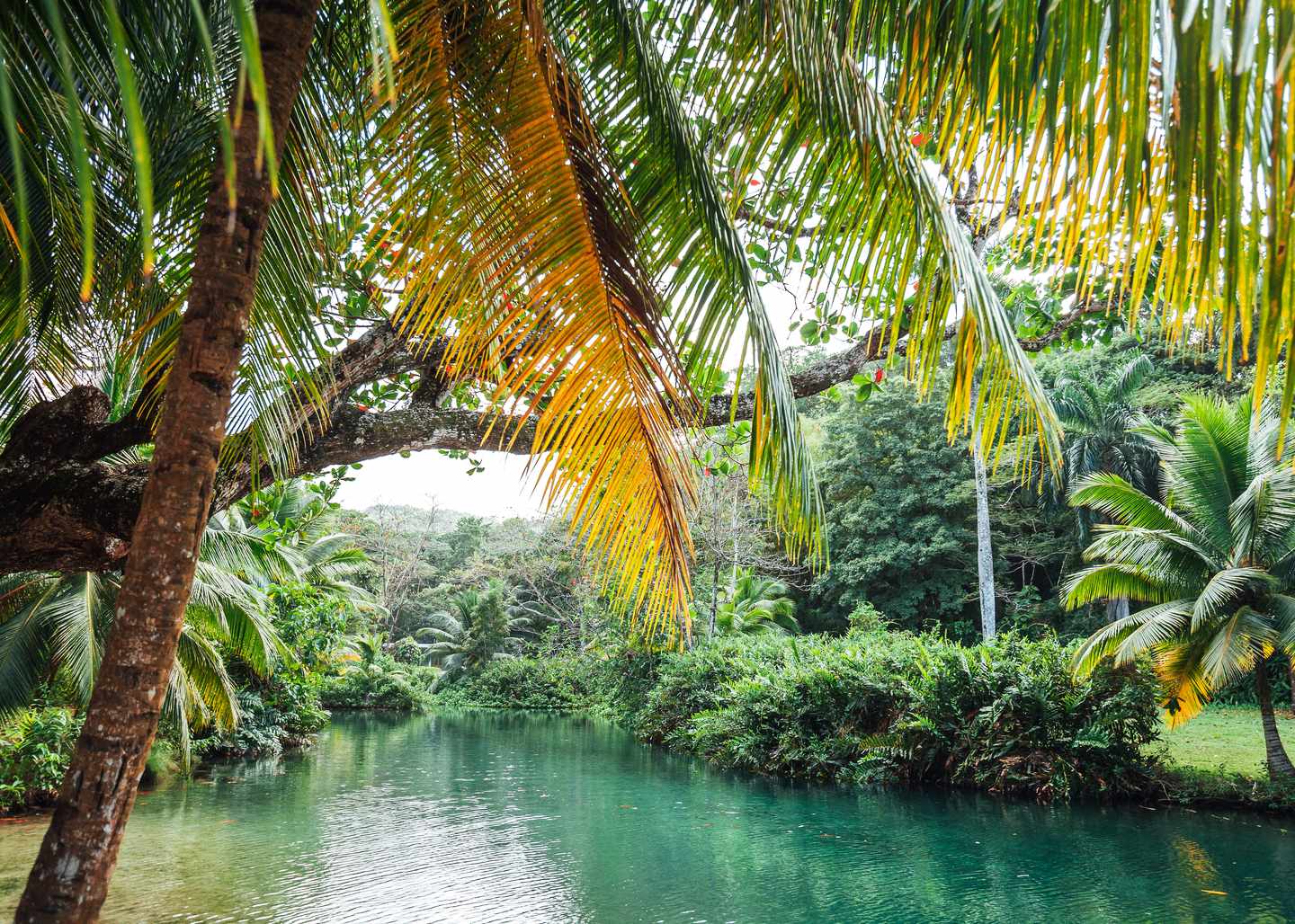 Beste Reisezeit Jamaika: Frenchman's Cove