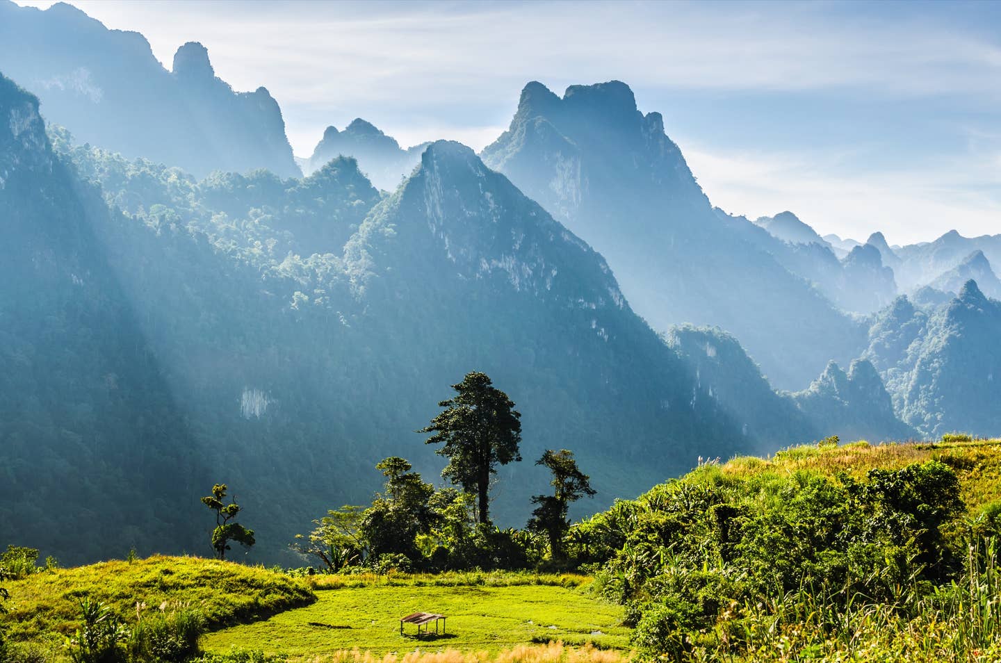 Rundreisen Laos: dicht bewaldete Berglandschaft in Laos