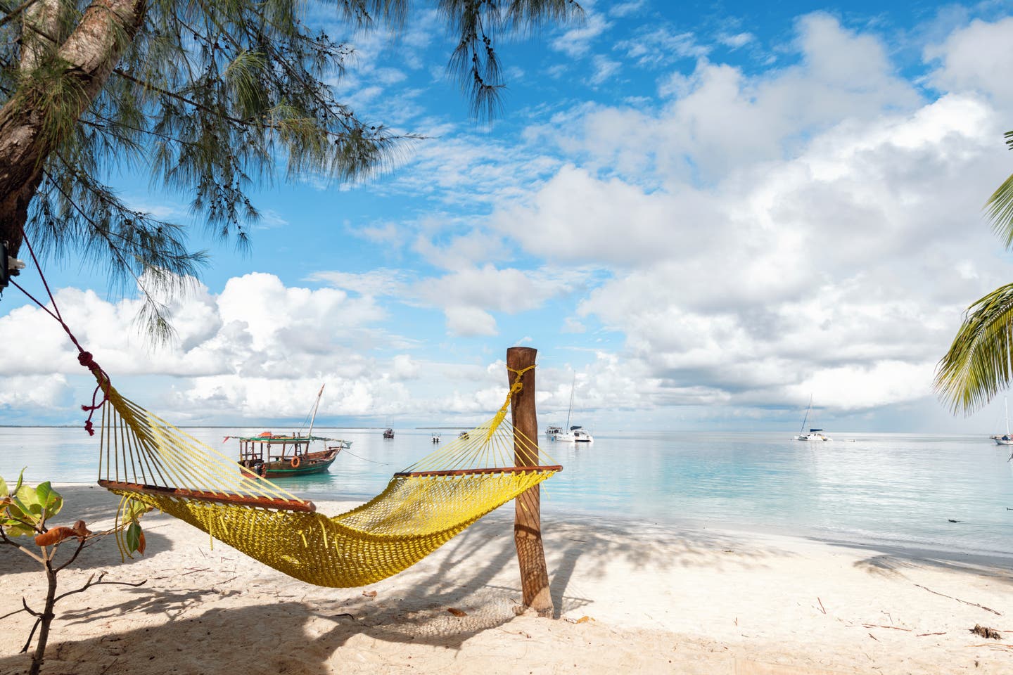 Tansania beste Reisezeit: Hängematte am Strand von Sansibar