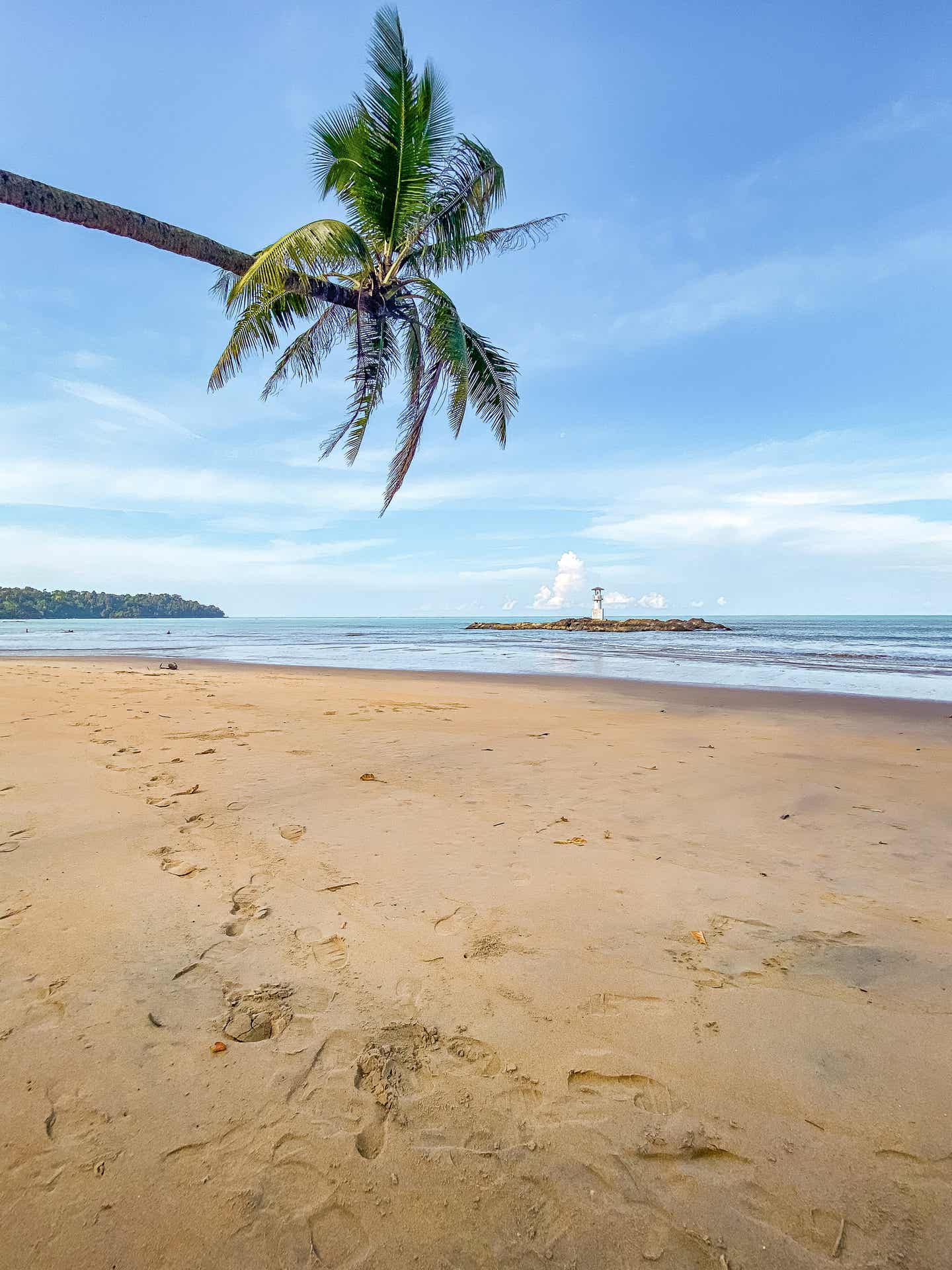 Strand mit Palme in Khao Lak