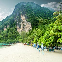 Koh Phi Phi Hotels