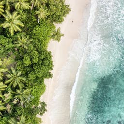 idischer-ozean-seychellen-mahe-anse-takama-g-841022768.jpg