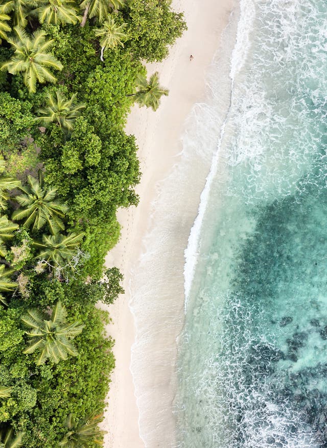 Jetzt entdecken Seychellen Mahe Ansa Takama