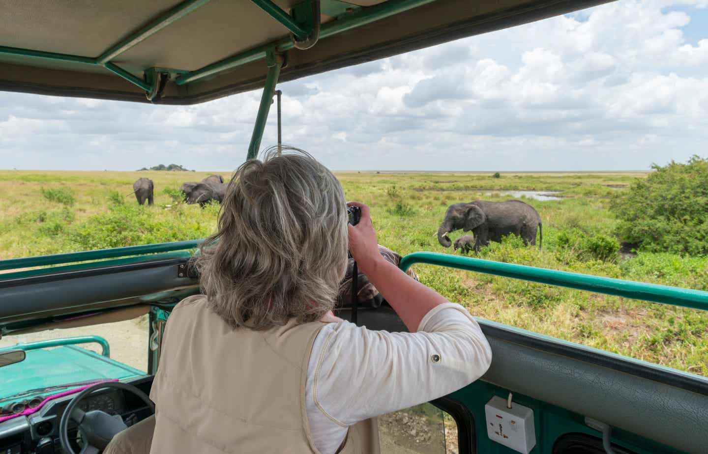 Serengeti Nationalpark: Frau fotografiert Elefanten auf einer Safari