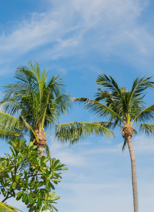 Geheimtipps auf Koh Chang Thailand Koh Chang