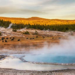 Yellowstone Nationalpark Hotels