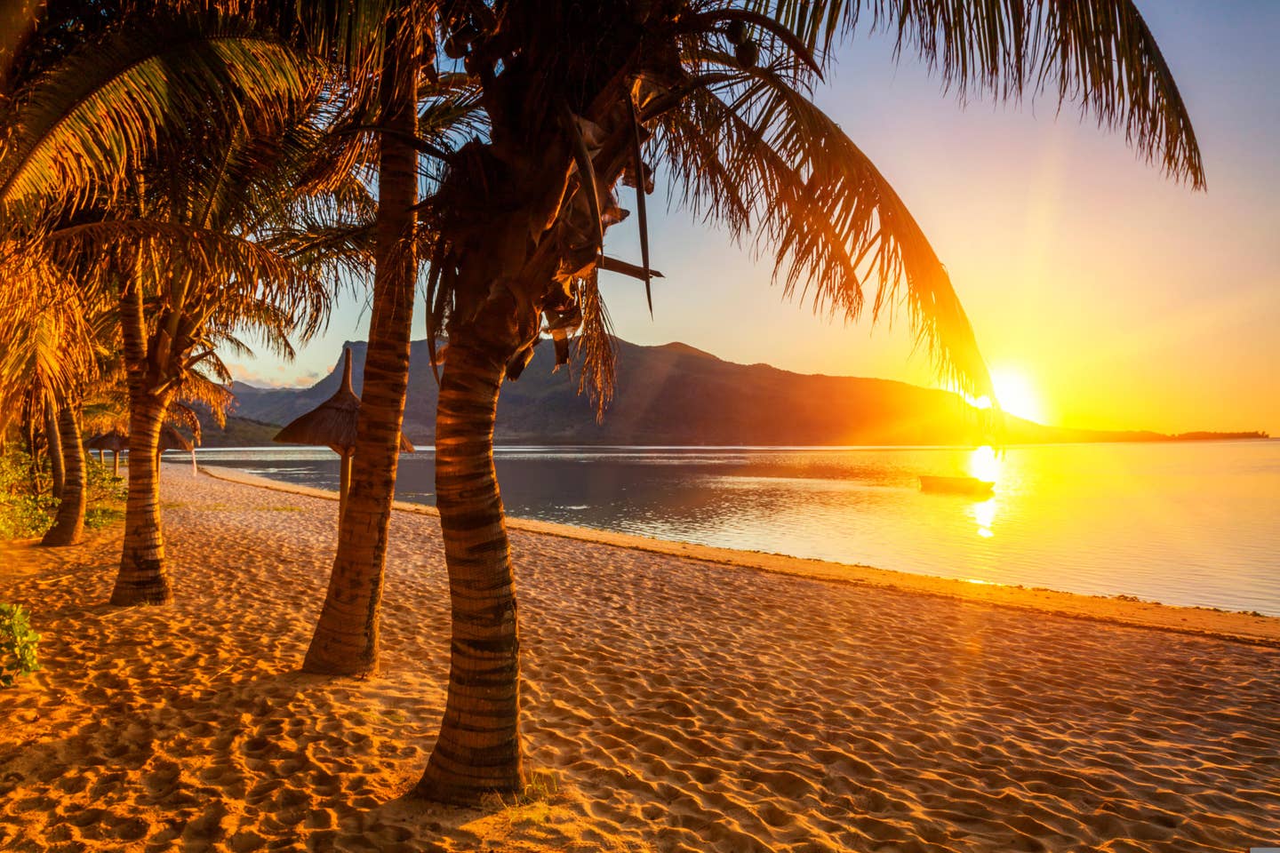 Mauritius Sonnenuntergang Palmen