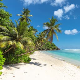 barbados-st-james-strand-g-694344280.jpg
