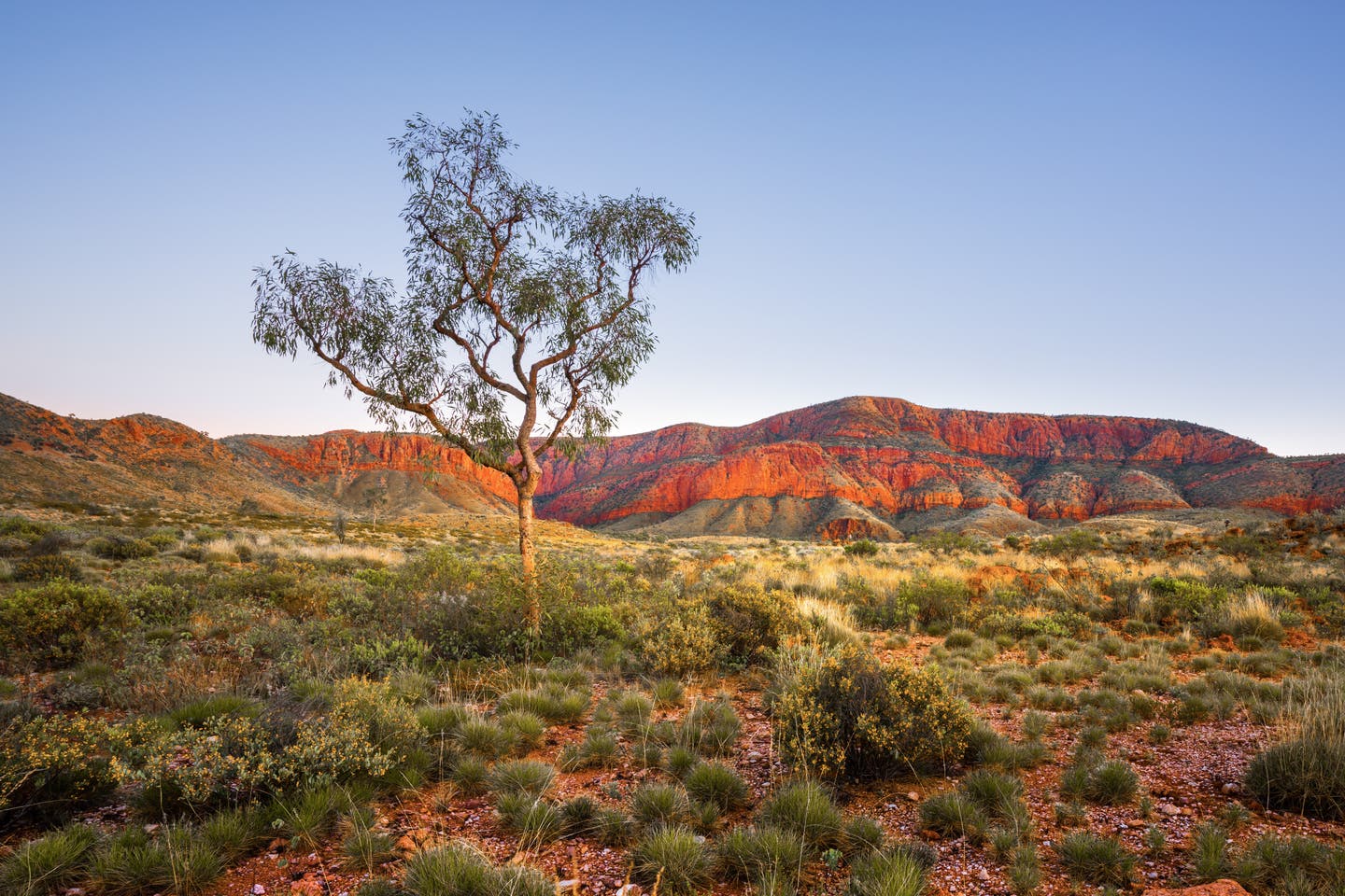 Landschaft im Northern Territory